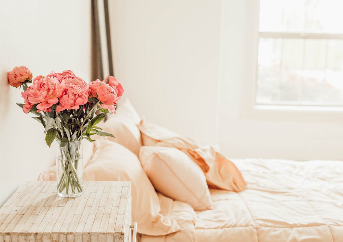liana-mikah-709546-unsplash liana-mikah-709546-unsplash